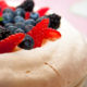 pavlova1