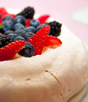 pavlova1